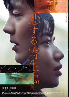 荒野回声 冒险剧情电影高清在线观看
